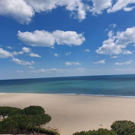 Apartment 3 Pieces Avec Piscine, Proche Et Commerces A - Fr-1-776-47 Argeles-sur-Mer